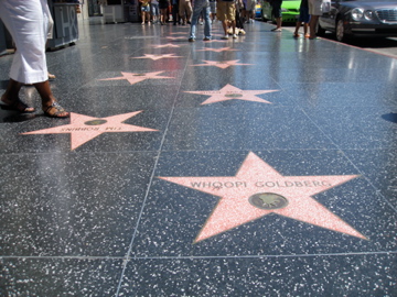Hollywood stars